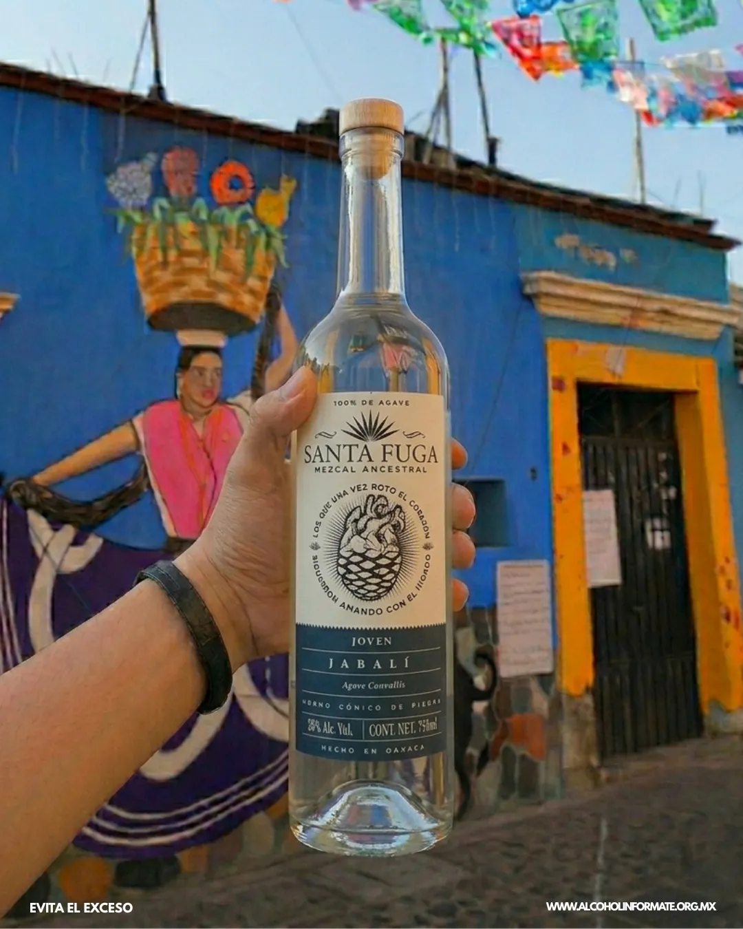 Jabalí Santa Fuga en el centro de Oaxaca