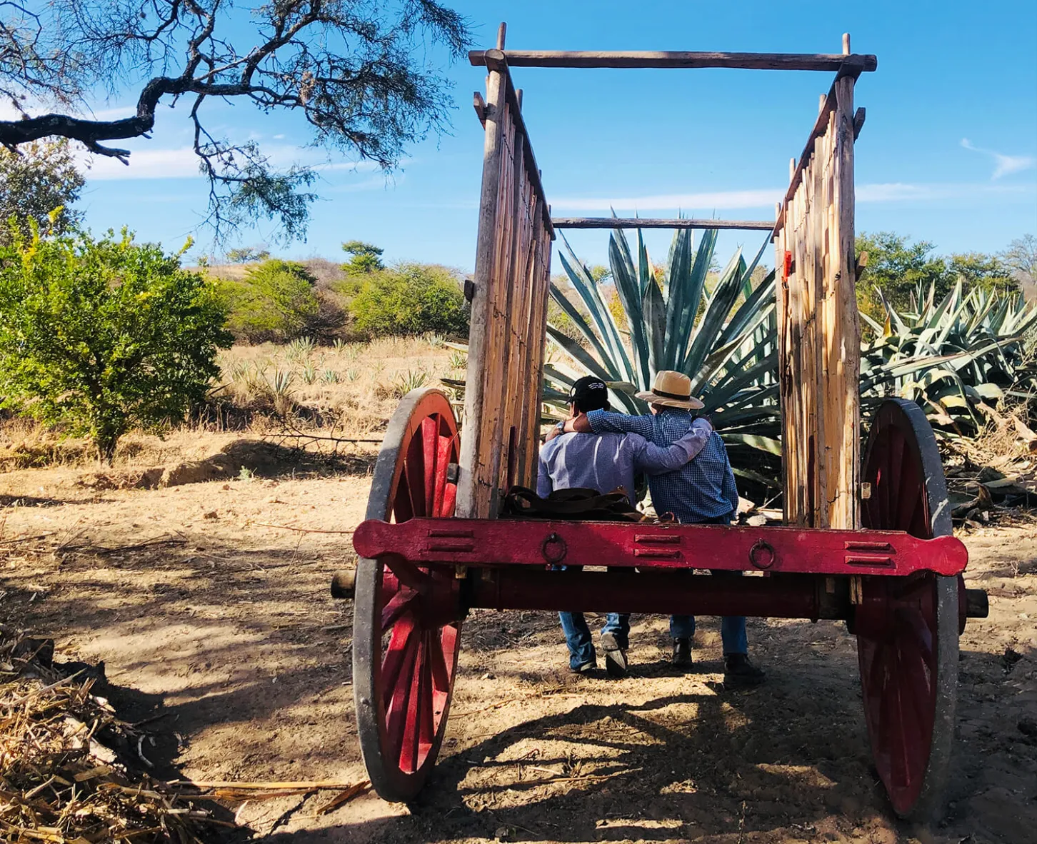 Maestro mezcalero de Santa Fuga en el palenque, Oaxaca