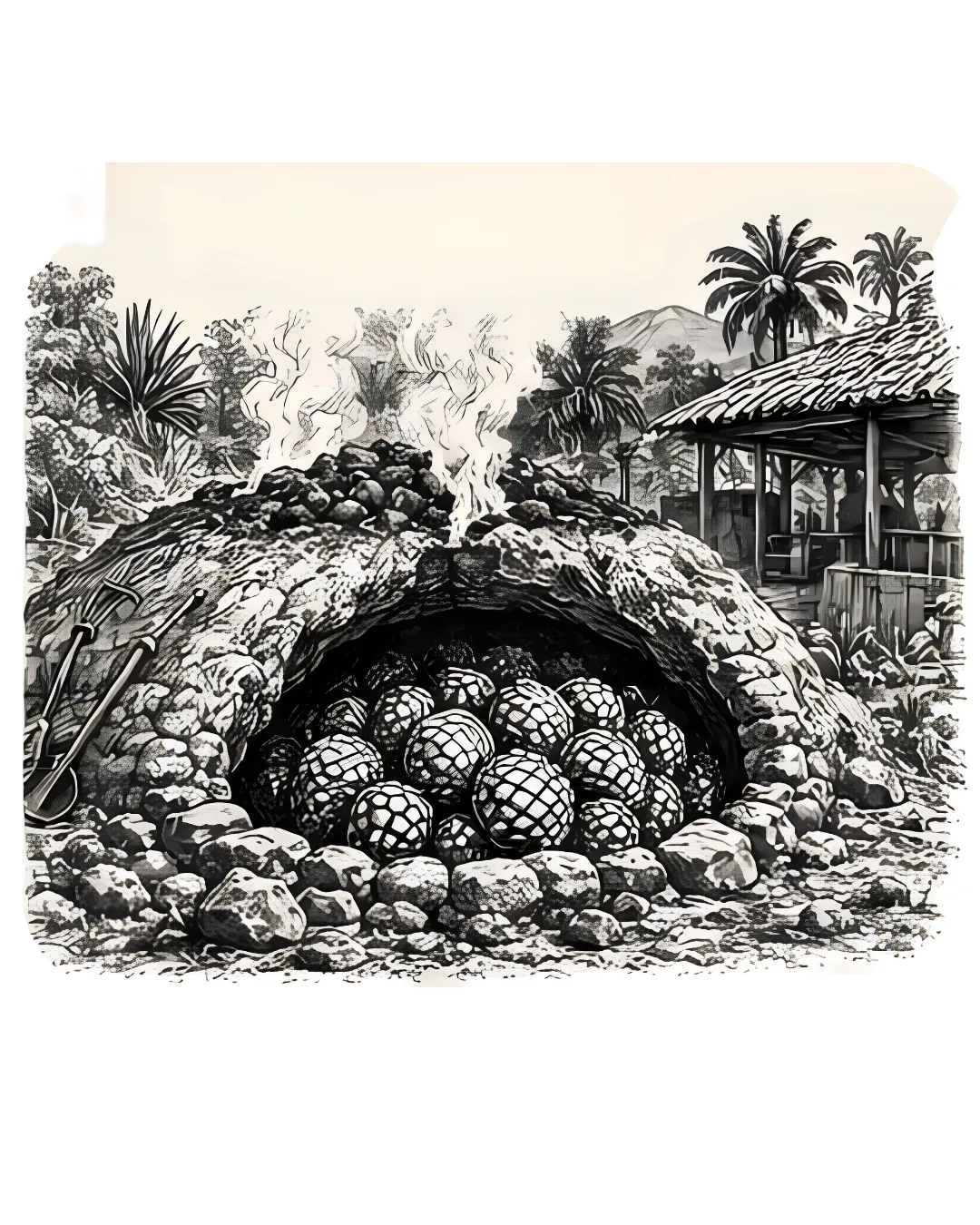 Cocción en horno de tierra